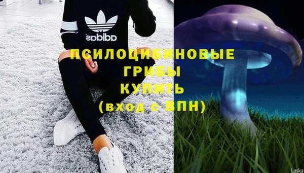 бошки Анжеро-Судженск