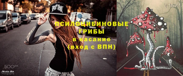 молекула духа Лиски