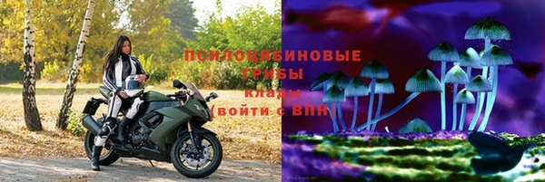стафф Лабытнанги