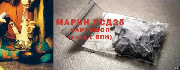 трава Корсаков